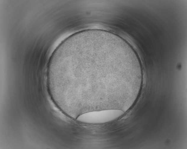 X0000115211048200911251503