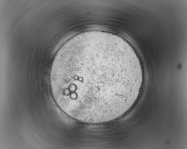 X0000115211049200911251503