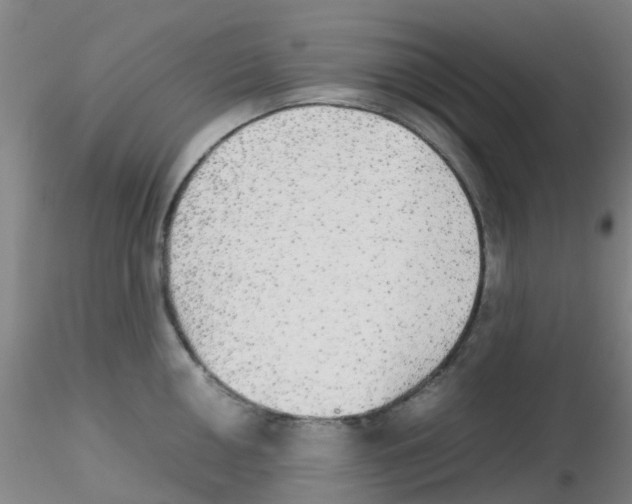 X0000115211050200911251503