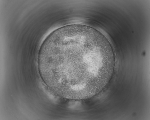 X0000115211051200911251503