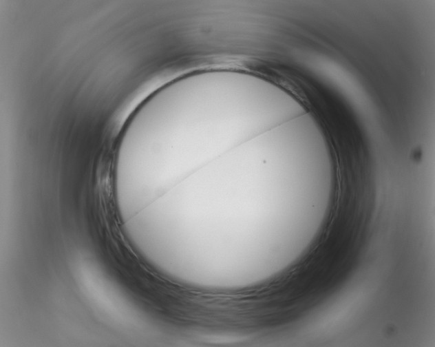 X0000115211052200911251503