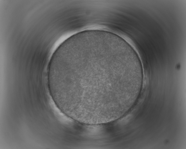 X0000115211053200911251503