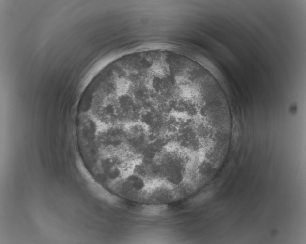 X0000115211055200911251503