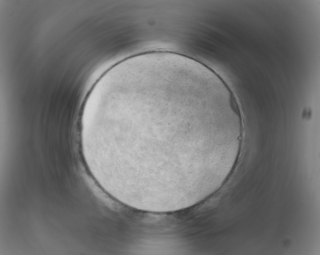 X0000115211056200911251503