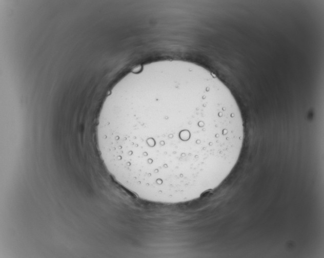 X0000115211057200911251502