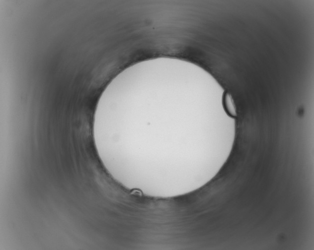 X0000115211058200911251502