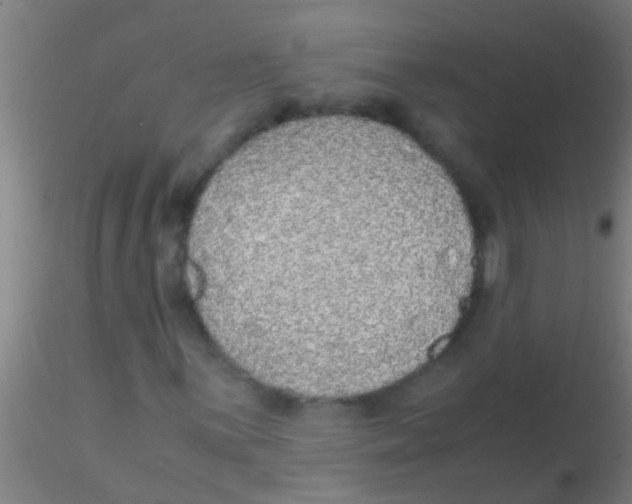 X0000115211059200911251502