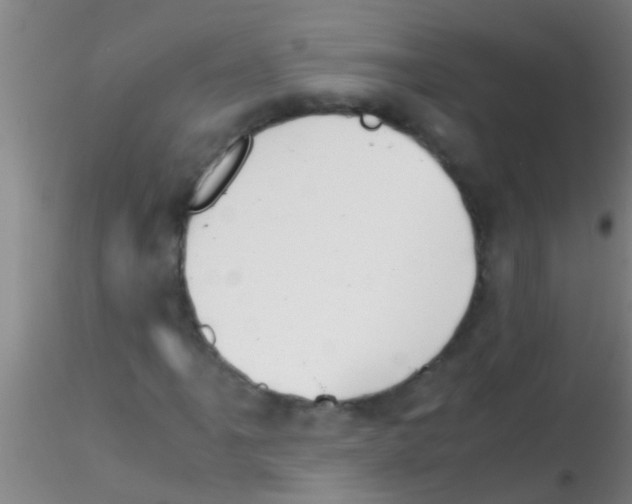 X0000115211061200911251502