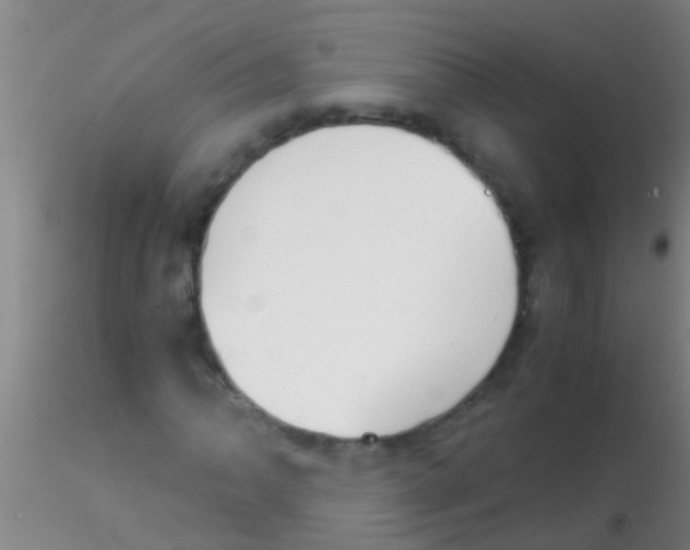 X0000115211062200911251502