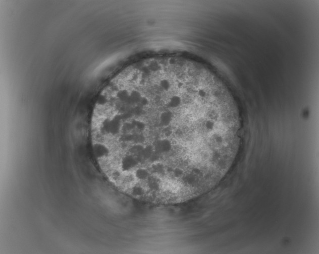 X0000115211063200911251502