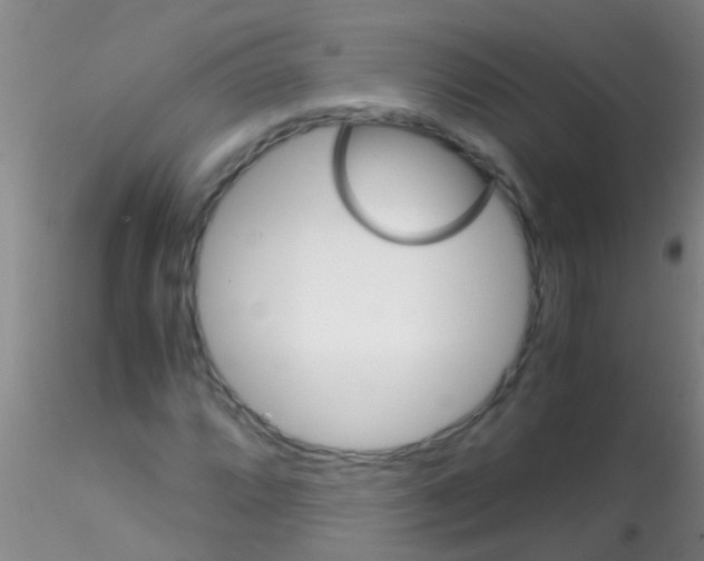 X0000115211064200911251502