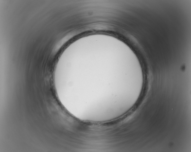 X0000115211065200911251502