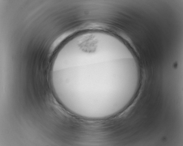 X0000115211066200911251502