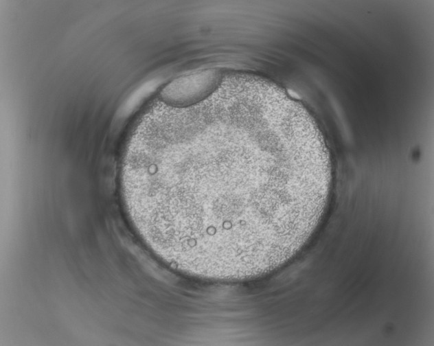 X0000115211067200911251502