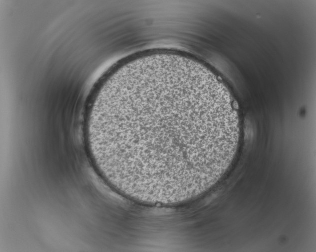 X0000115211068200911251502