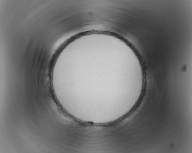 X0000115211070200911251502