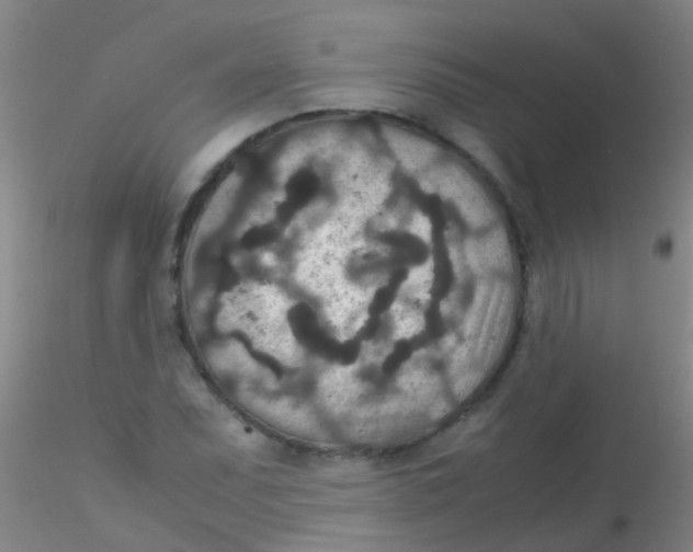 X0000115211071200911251502