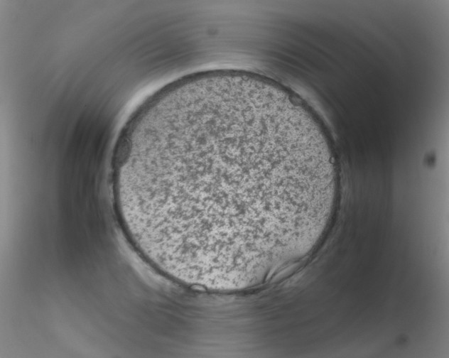 X0000115211072200911251502