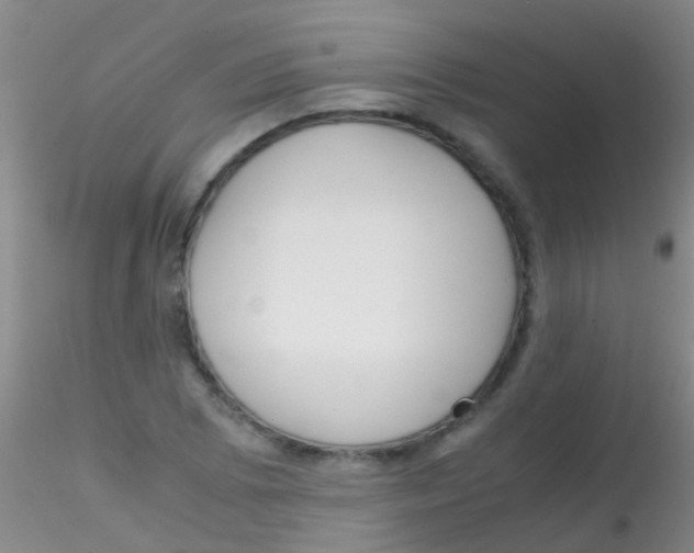 X0000115211073200911251502