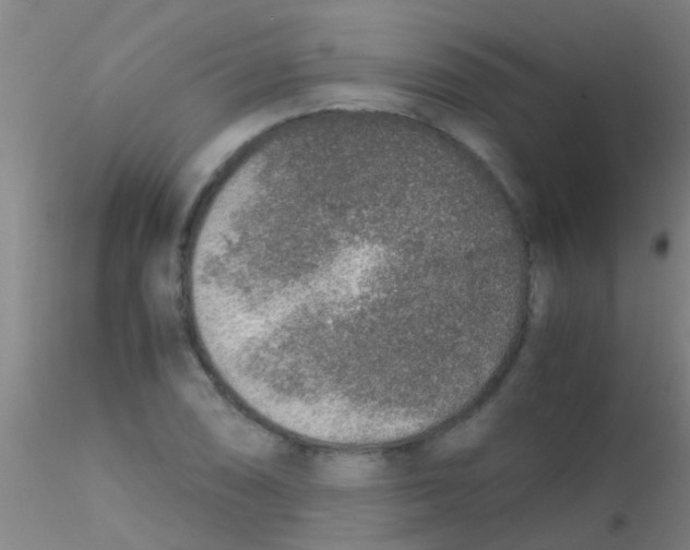 X0000115211074200911251502