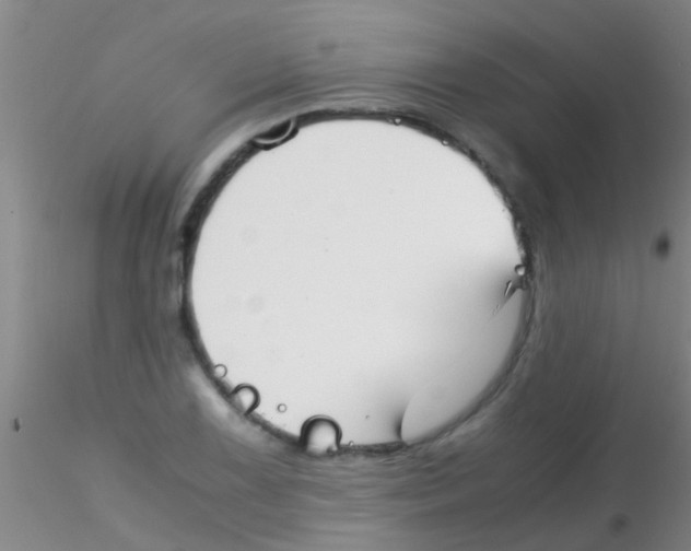 X0000115211075200911251502