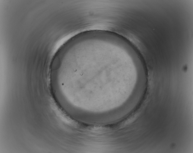 X0000115211077200911251502