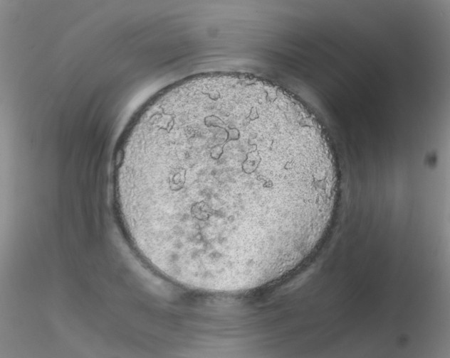 X0000115211079200911251502