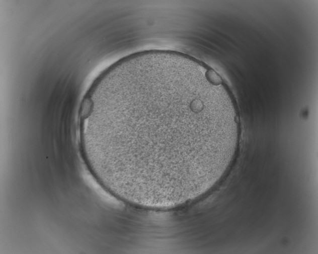 X0000115211080200911251502