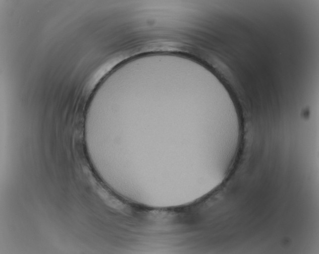 X0000115211081200911251502