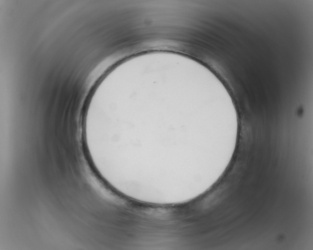 X0000115211082200911251502