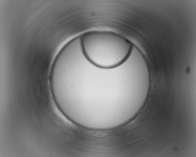 X0000115211084200911251502