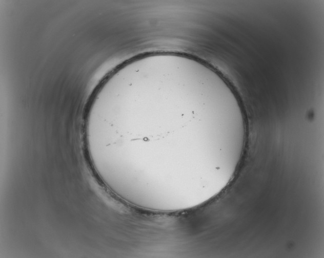 X0000115211085200911251502