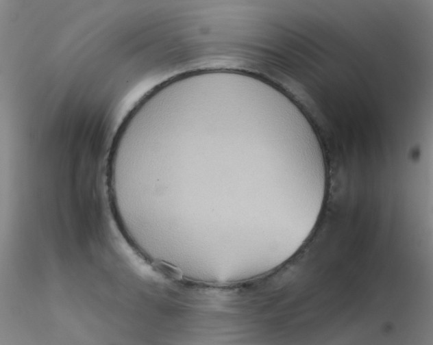 X0000115211086200911251502