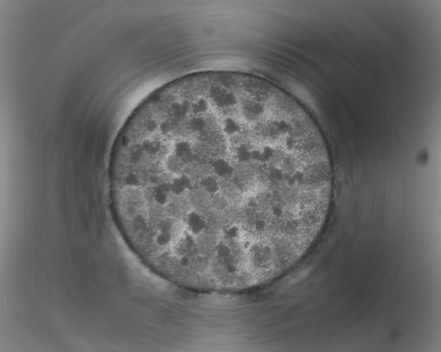 X0000115211087200911251502