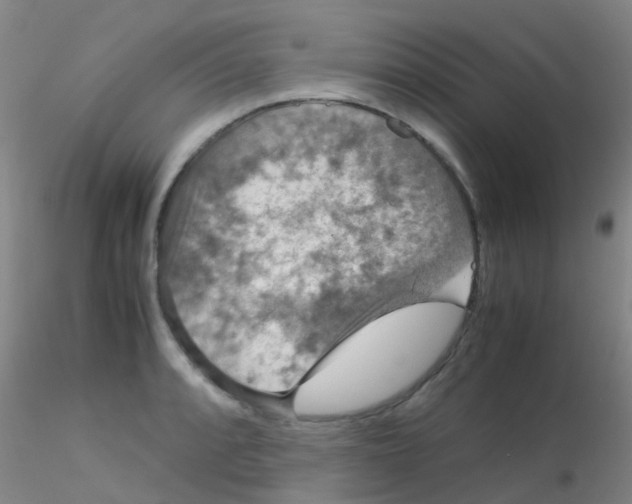 X0000115211088200911251502