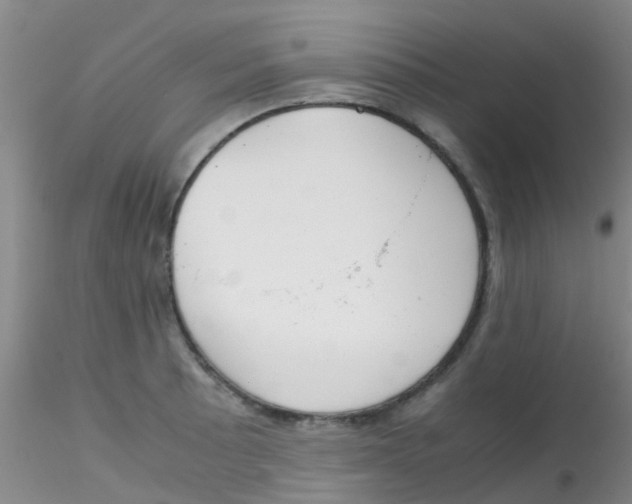 X0000115211089200911251502