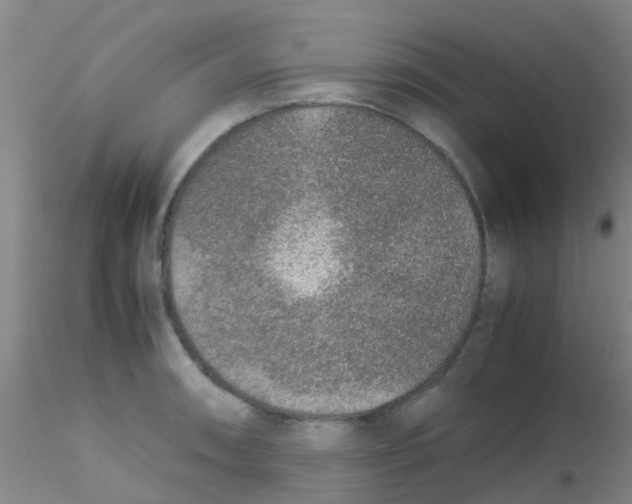 X0000115211090200911251502