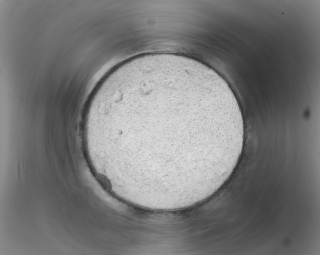 X0000115211091200911251502