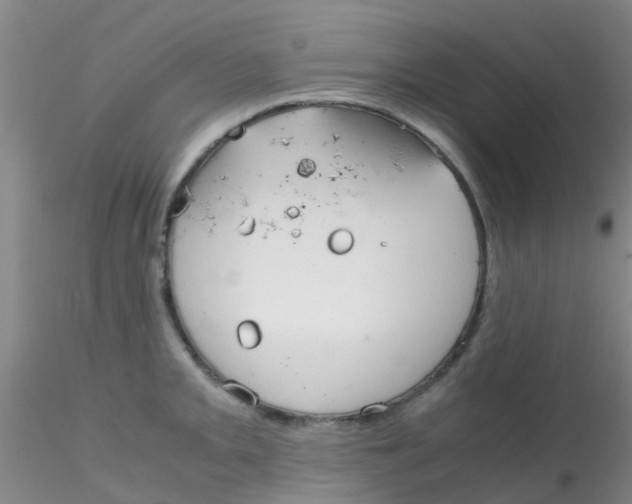 X0000115211093200911251502