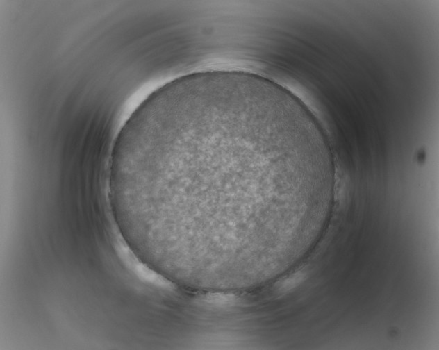 X0000115211094200911251502