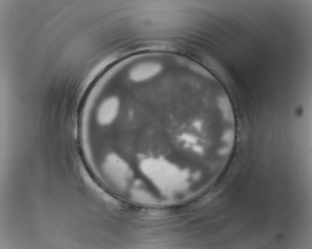 X0000115211095200911251502