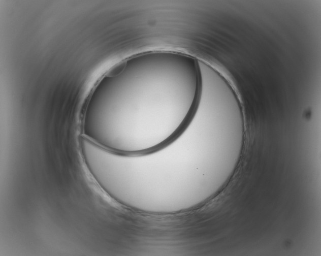 X0000115211096200911251502