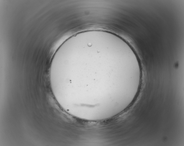 X0000115211097200911251502