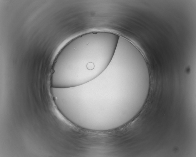 X0000115211100200911251501