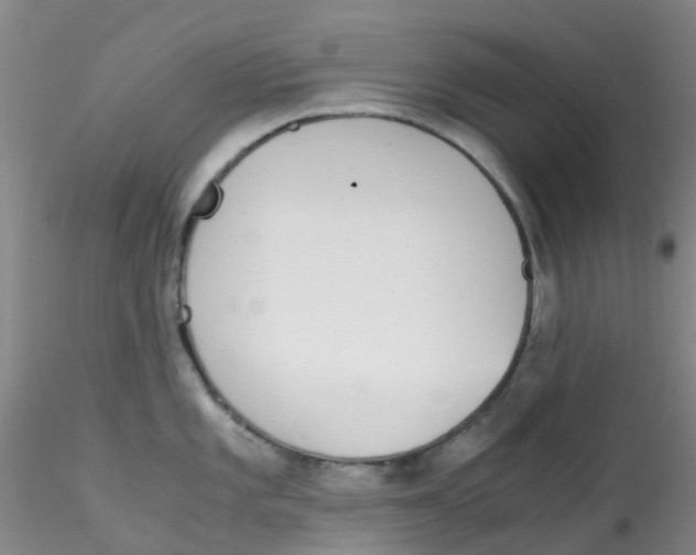 X0000115211101200911251501