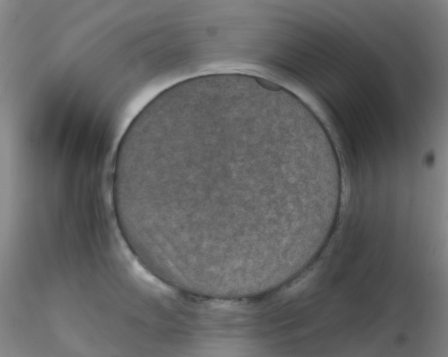 X0000115211102200911251501