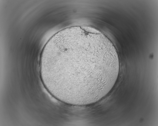 X0000115211103200911251501