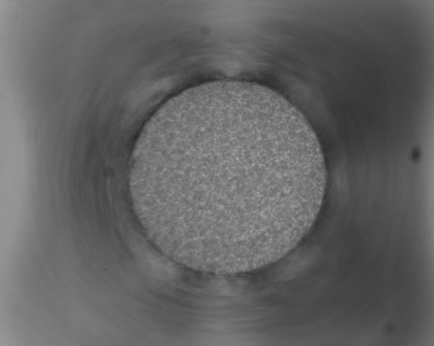 X0000115211105200911251500