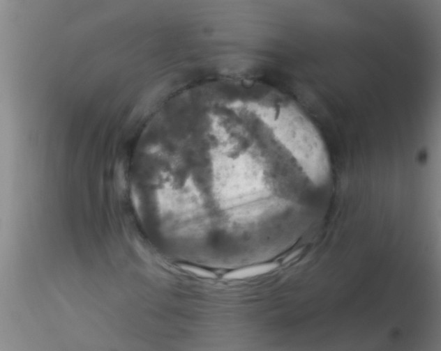 X0000115211106200911251500