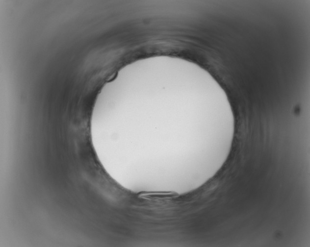 X0000115211109200911251500